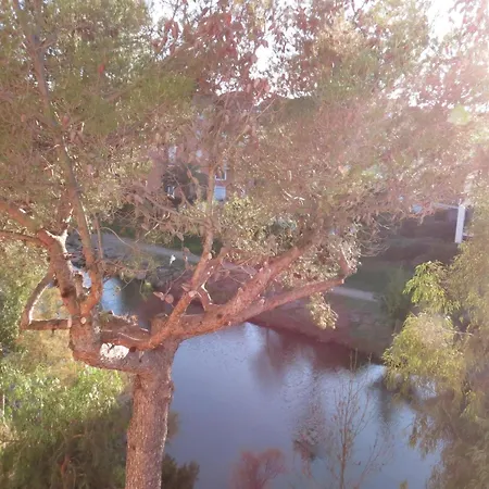 Apartment 2 Pieces Climatise, Calme, Proche Centre-ville Et Plage, Avec Balcon - - Fr-1-780-78